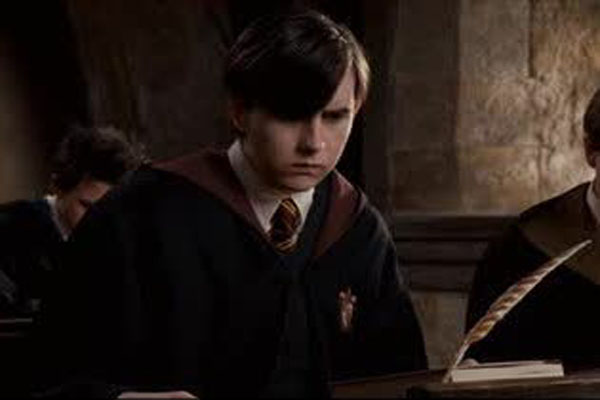 Guilty Viewing Pleasures:  Harry Potter and the Order of the Phoenix